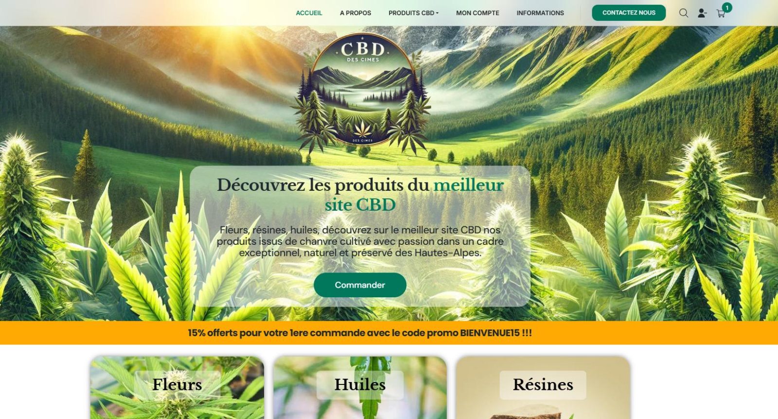 Création de site ecommerce