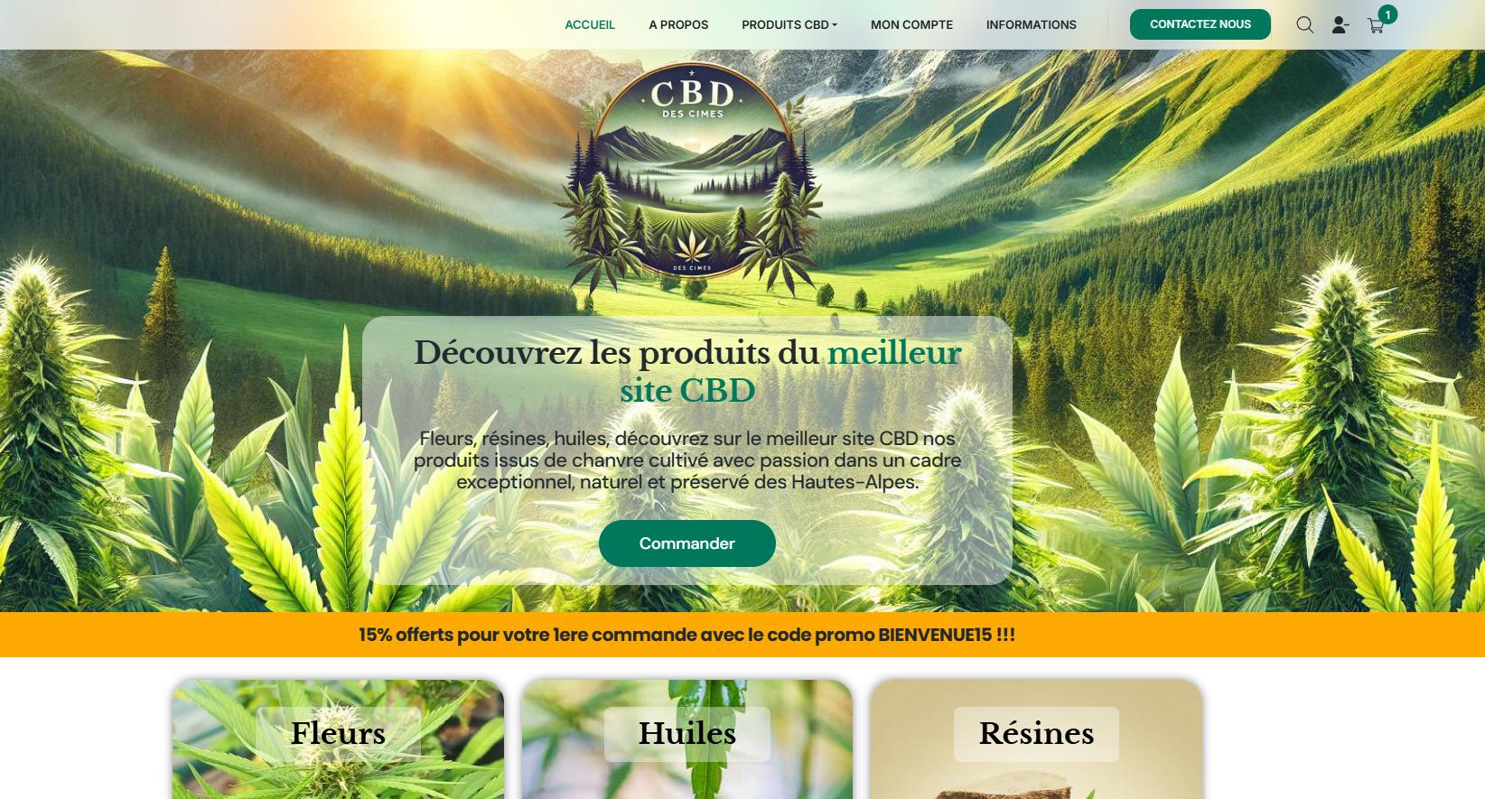Création de site ecommerce